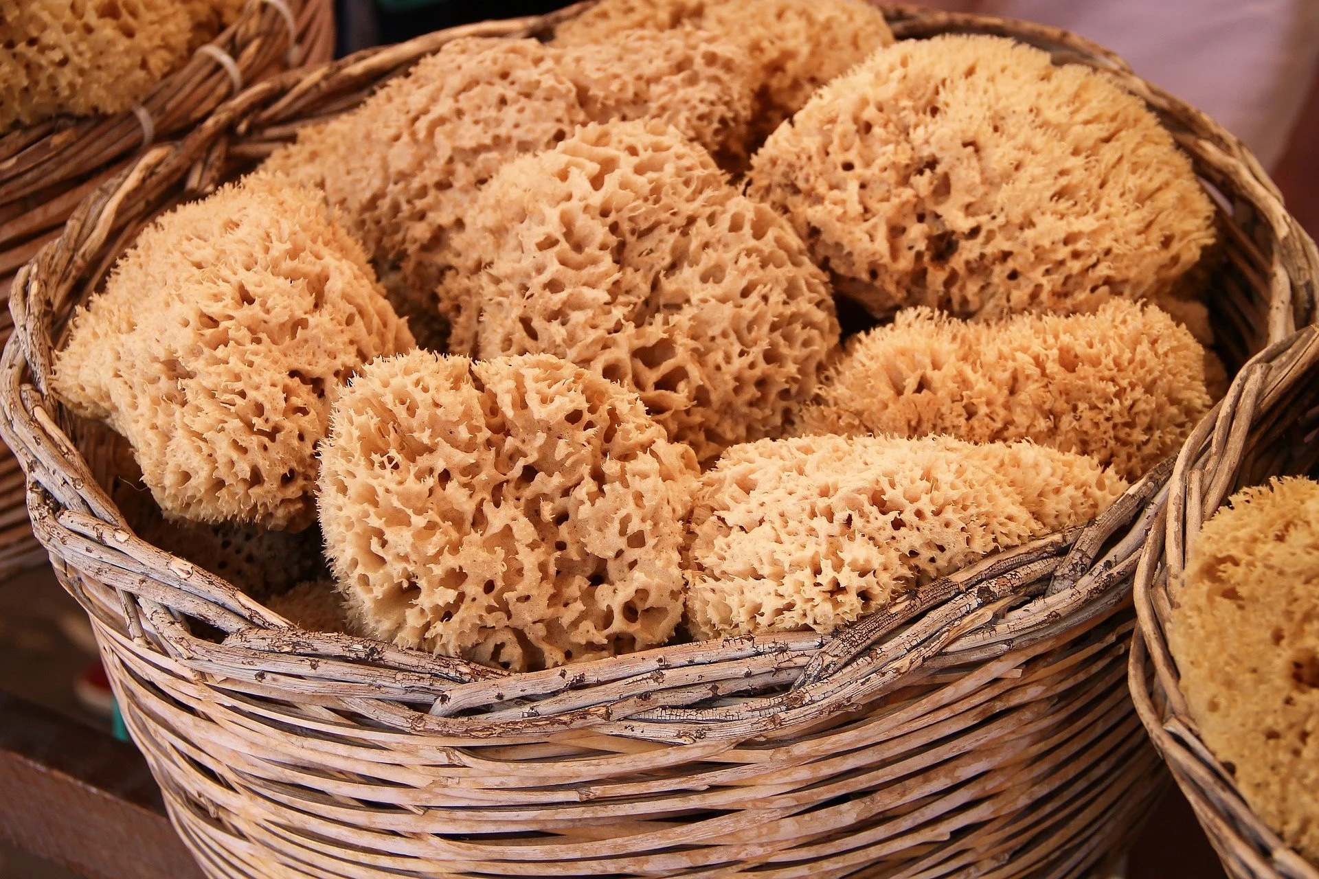 sponges-g34892ee3d_1920.jpg